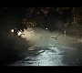 Filename=3009.jpg
Filesize=176KiB
Dimensions=1920x1080
Date added=Oct 20, 2022 3009.jpg