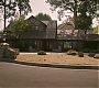 534.jpg