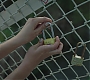 Filename=265.jpg
Filesize=297KiB
Dimensions=1920x1080
Date added=Jul 26, 2020 265.jpg