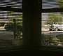 Filename=259.jpg
Filesize=381KiB
Dimensions=1920x1080
Date added=Jul 26, 2020 259.jpg