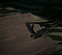 Filename=446.jpg
Filesize=258KiB
Dimensions=1920x1080
Date added=Jul 26, 2020 446.jpg