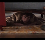 Filename=1x09_415.jpg
Filesize=118KiB
Dimensions=1920x1080
Date added=Jun 24, 2020 1x09_415.jpg