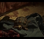 Filename=lovevictor204_774.jpg
Filesize=142KiB
Dimensions=1920x1080
Date added=Jun 12, 2021 lovevictor204_774.jpg