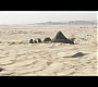 Filename=0207.jpg
Filesize=192KiB
Dimensions=1920x1080
Date added=May 29, 2022 0207.jpg