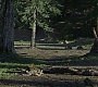 C04_0250.jpg