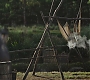 Filename=C04_0629.jpg
Filesize=156KiB
Dimensions=1920x808
Date added=Feb 02, 2021 C04_0629.jpg