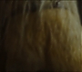 C10_126.jpg