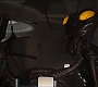 C10_150.jpg