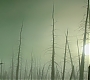Filename=C13_156.jpg
Filesize=122KiB
Dimensions=1920x800
Date added=Feb 03, 2021 C13_156.jpg
