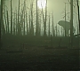 C13_162.jpg