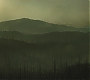 C13_309.jpg