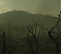 C13_313.jpg