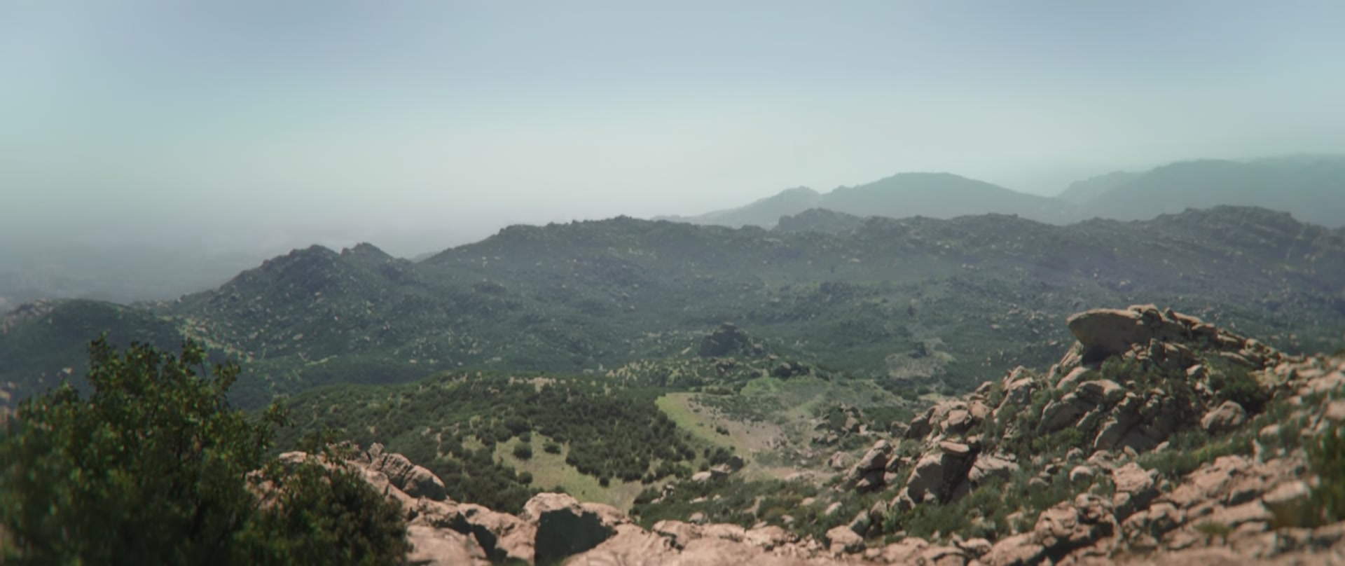 C14_157.jpg