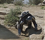 Filename=C14_162.jpg
Filesize=218KiB
Dimensions=1920x808
Date added=Feb 03, 2021 C14_162.jpg