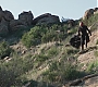 C14_267.jpg