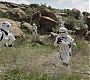 C14_375.jpg