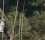 Filename=C14_402.jpg
Filesize=141KiB
Dimensions=1920x808
Date added=Feb 03, 2021 C14_402.jpg