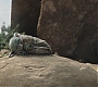 Filename=C14_423.jpg
Filesize=127KiB
Dimensions=1920x808
Date added=Feb 03, 2021 C14_423.jpg