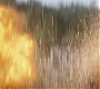 Filename=C15_377.jpg
Filesize=161KiB
Dimensions=1920x808
Date added=Feb 03, 2021 C15_377.jpg