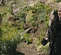 C15_667.jpg