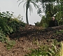 Filename=C15_673.jpg
Filesize=270KiB
Dimensions=1920x808
Date added=Feb 03, 2021 C15_673.jpg